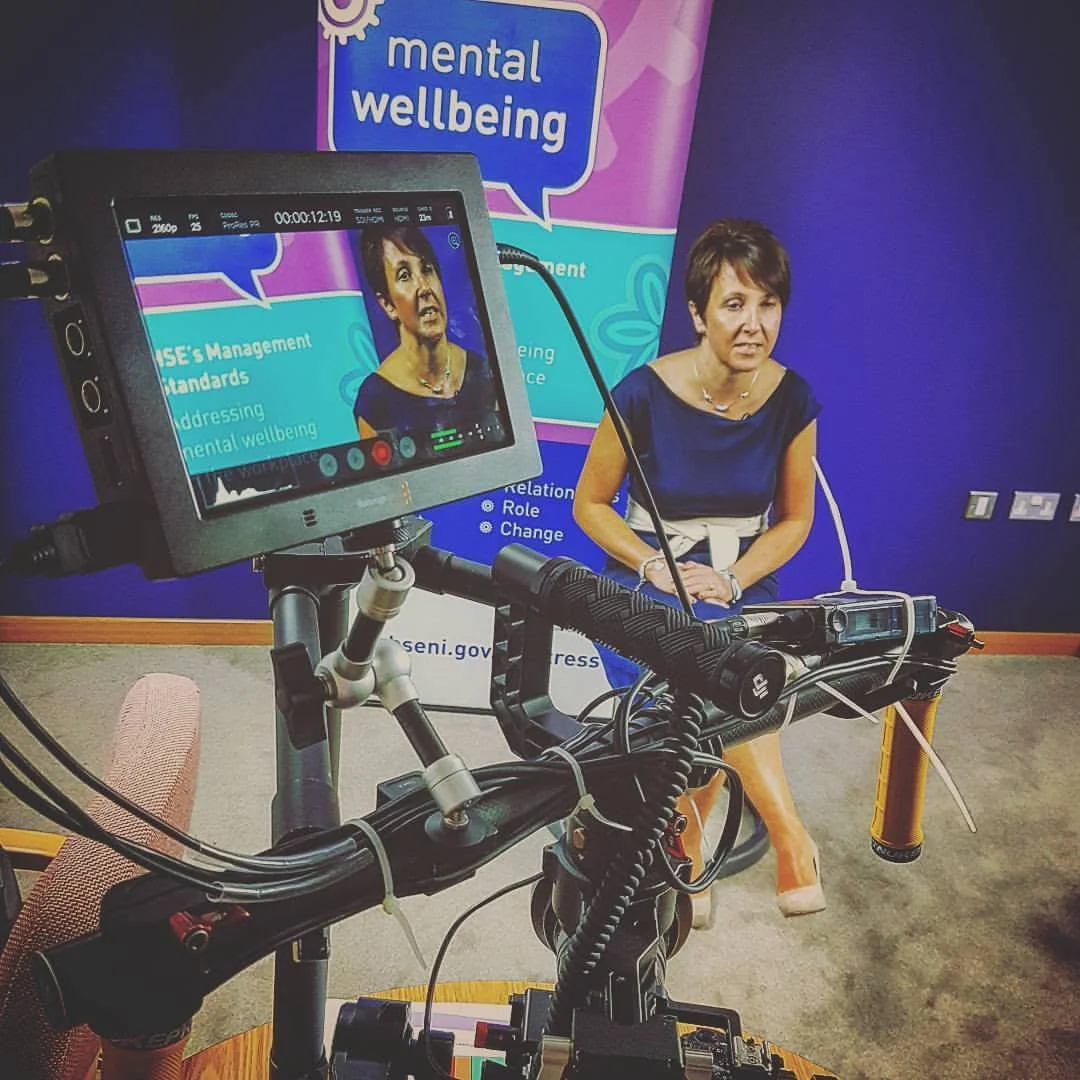 Camera and monitor recording a mental wellbeing interview