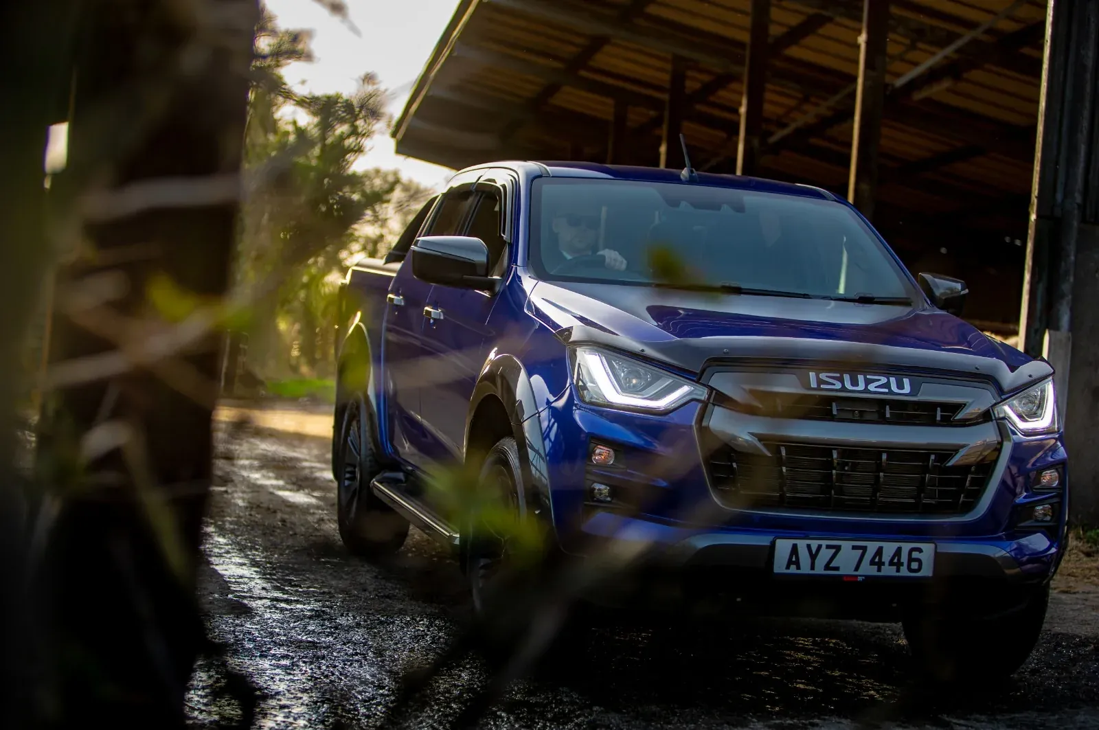Blue pickup photographed through foreground foliage