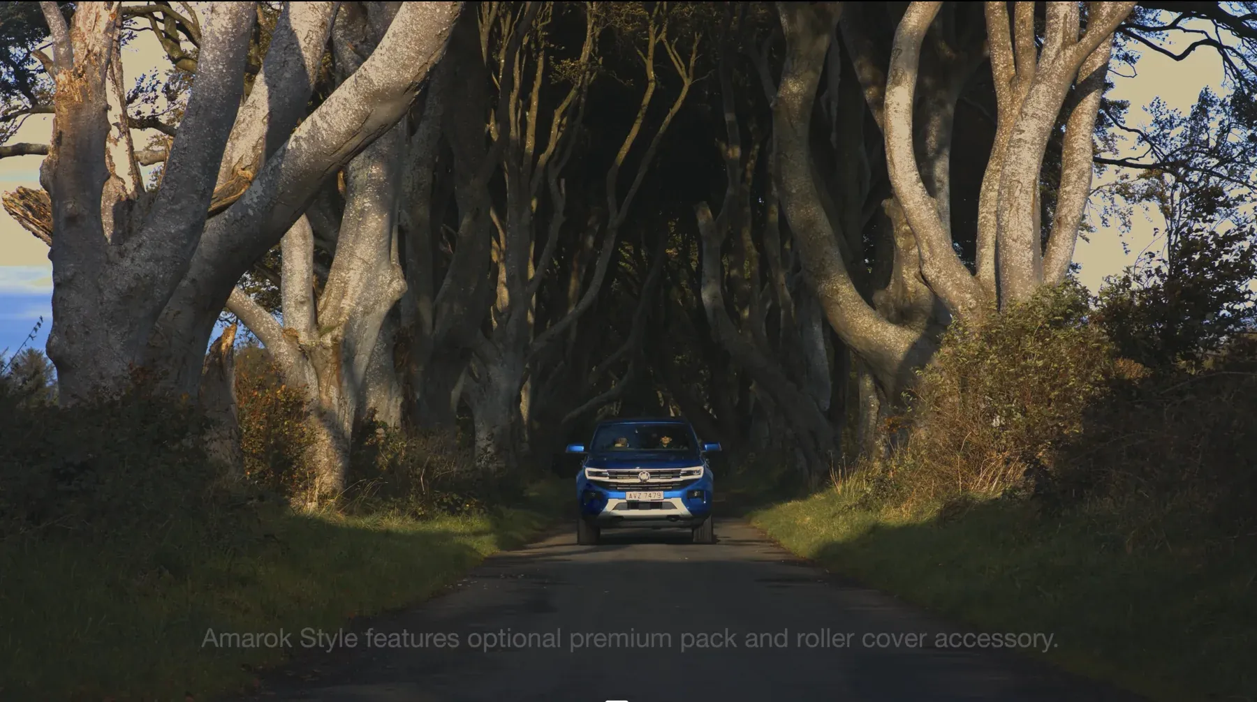 Amarok dark hedges front