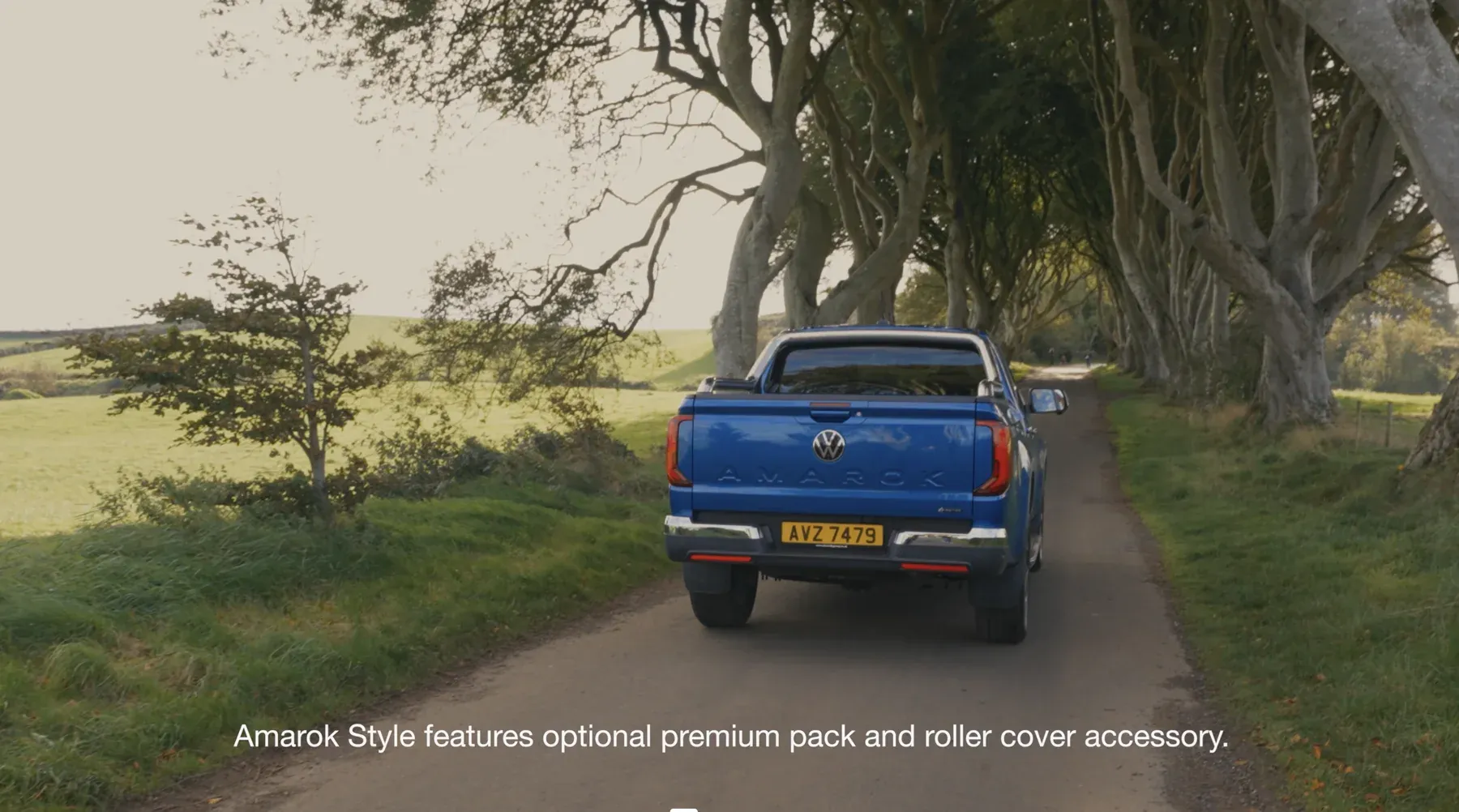 Amarok beneath the trees